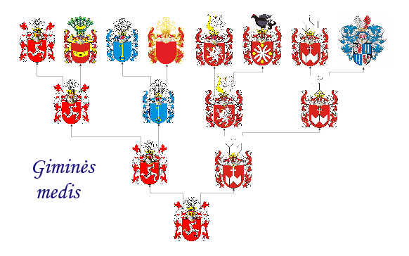 Parama Lietuvos bajorų karališkąjai sąjungai